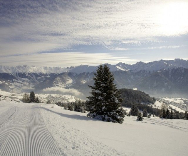 Verschneite Straße in den Alpen