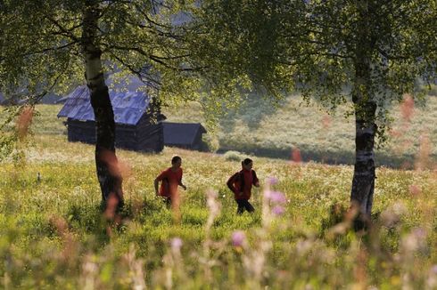 Wandern auf Alpenwiese