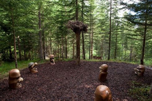 Waldlichtung
