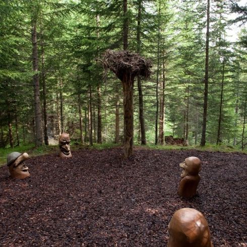 Waldlichtung