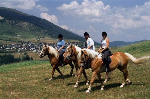 Pferdeausflug mit 3 Reitern