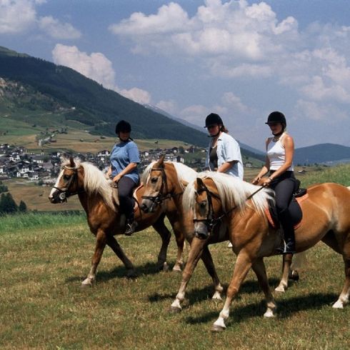 Pferdeausflug mit 3 Reitern