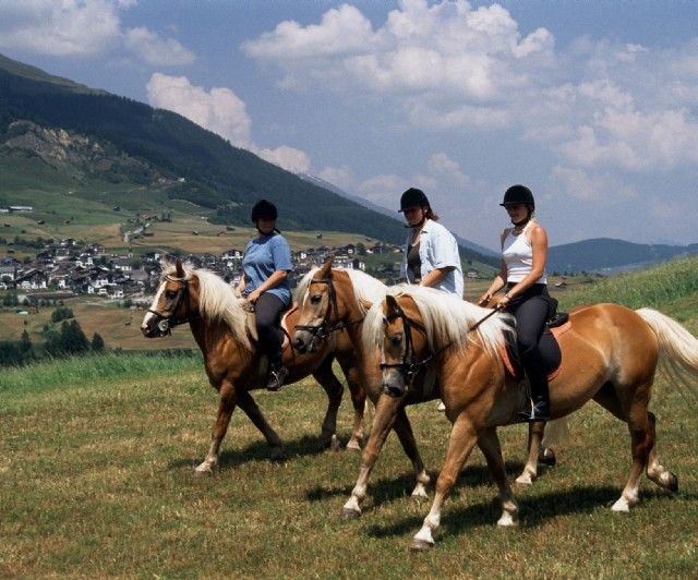 Pferdeausflug mit 3 Reitern