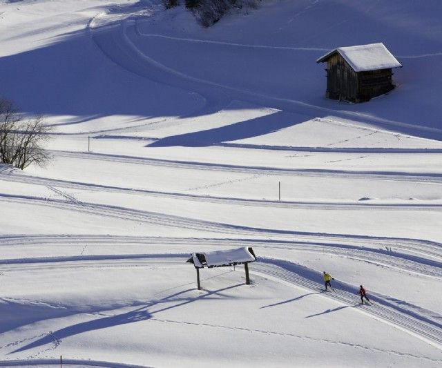 neuschnee in Bergen